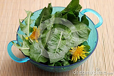 Salad of dandelion Stock Photo