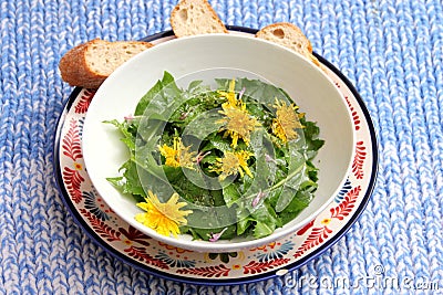 Salad of dandelion Stock Photo