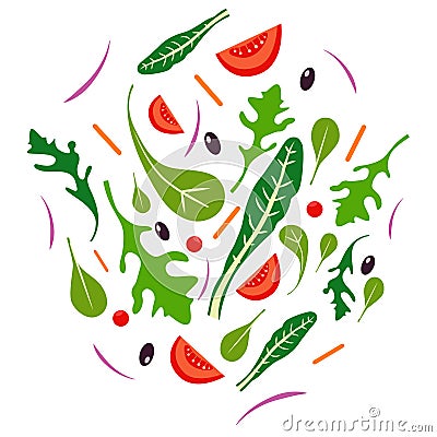 Fresh salad Vector Illustration