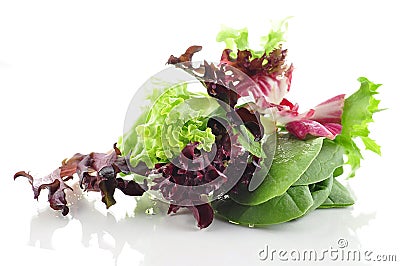 Fresh salad leaves Stock Photo