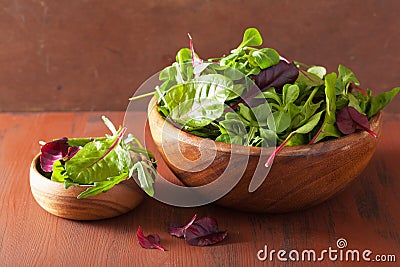 Fresh salad leaves in bowl: spinach, mangold, ruccola Stock Photo
