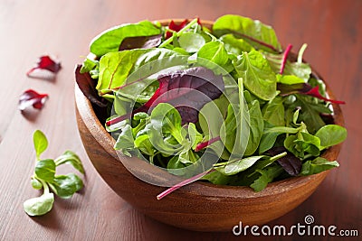 Fresh salad leaves in bowl: spinach, mangold, ruccola Stock Photo