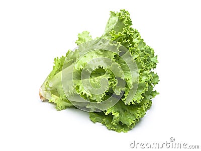 Fresh salad lettuce Stock Photo