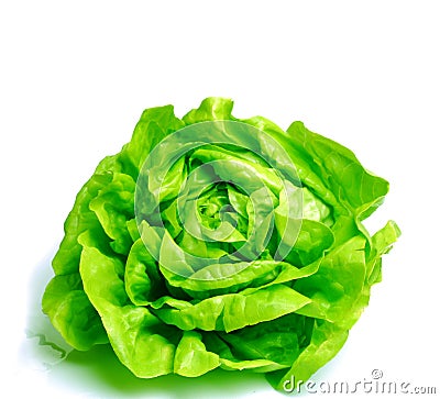 Fresh salad lettuce Stock Photo