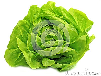 Fresh salad lettuce Stock Photo