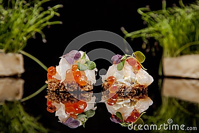 Fresh salmon, cheese, and herbs canapes Stock Photo