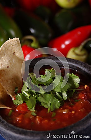 Fresh Salsa Stock Photo