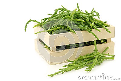 Fresh Samphire Stock Photo