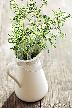 Fresh savory bunch Stock Photo