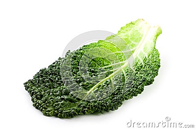 Fresh savoy cabbage leaf Stock Photo