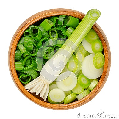 Fresh scallion bulb and sliced scallions, in a wooden bowl Stock Photo