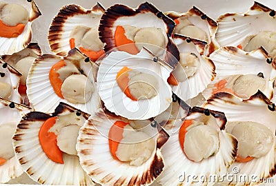 Fresh scallops in the shelf of fishmonger Stock Photo