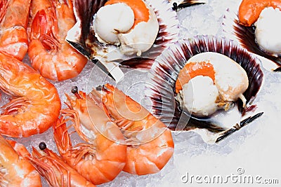 Fresh Scallops and Shrimps over Ice Stock Photo