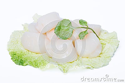 Fresh scallops Stock Photo