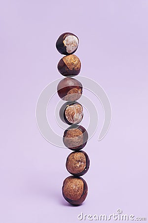 Fresh seven chestnuts standing at the top of each other balancing. Light purple color background Stock Photo