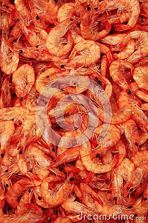 Fresh shrimp Stock Photo