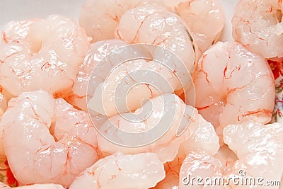 Fresh Shrimp Stock Photo