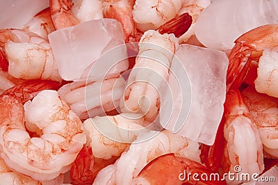 Fresh Shrimp on Ice Stock Photo
