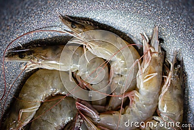 Fresh Shrimp in the Pan. Cooking Thai Food. Steaming Prawn Stock Photo