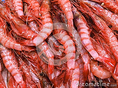 Fresh shrimps at fish market Stock Photo
