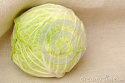 Fresh single cabbage Stock Photo