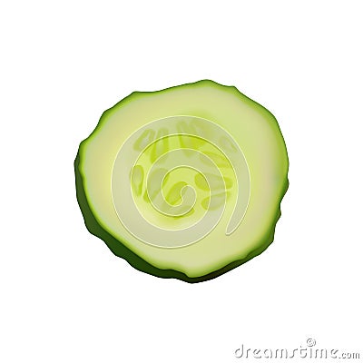 Fresh slice cucumber on white background. Vector realistic illustration. Vector Illustration