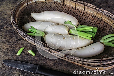 Fresh slices white radish , healthy vegatable Stock Photo