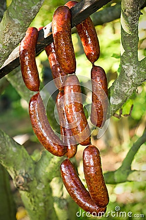 Fresh smoked sausage Stock Photo