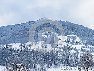 Fresh snow cover in the subalpine mixed forest on the slopes of Mountan Rigi, Weggis - Canton of Lucerne, Switzerland Schweiz Stock Photo