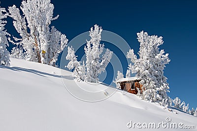 Fresh snow in Tahoe Stock Photo