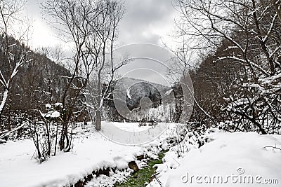 Winter landscape with trees and snow Stock Photo