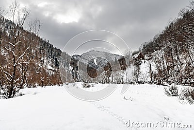Winter landscape with trees and snow Stock Photo