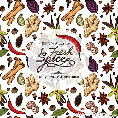 Fresh spice banner. Vector Illustration