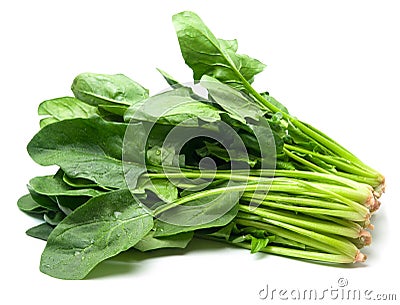 Fresh spinach isolated on white Stock Photo