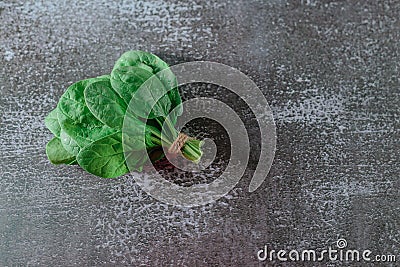 Fresh Spinach Leaves Bouquet . gray background. Copy space. Vegetarian diet concept. Green vegetables. Healthly food Stock Photo