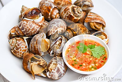 Fresh Spotted babylon Sea shell limpet ocean gourmet seafood in the restaurant, Babylonia areolata shellfish seafood on white Stock Photo