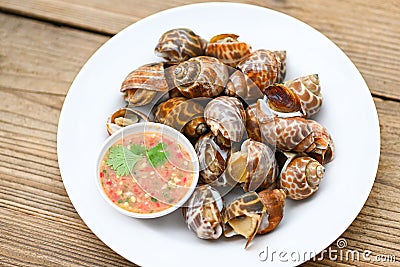 Fresh Spotted babylon Sea shell limpet ocean gourmet seafood in the restaurant, Babylonia areolata shellfish seafood on white Stock Photo