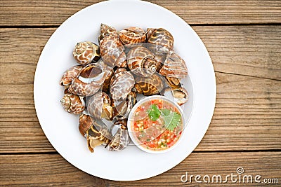 Fresh Spotted babylon Sea shell limpet ocean gourmet seafood in the restaurant, Babylonia areolata shellfish seafood on white Stock Photo