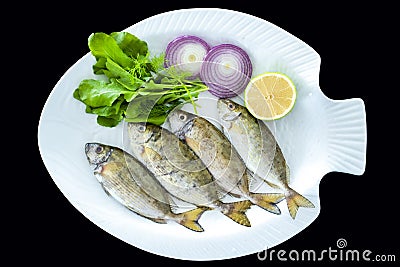 Fresh spotted spinefoot fish with rockets leaves served on white plate Stock Photo