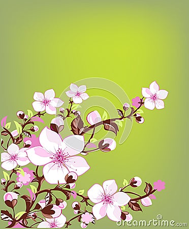 Fresh spring blossom Stock Photo