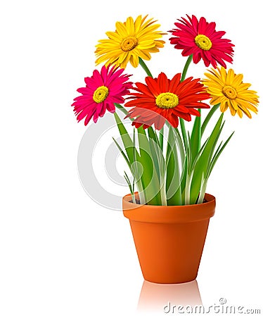 Fresh spring color flowers Vector Illustration