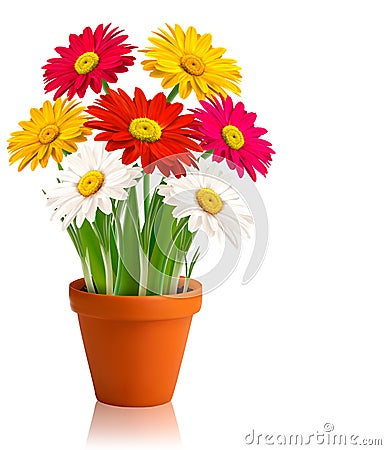 Fresh spring color flowers Vector Vector Illustration