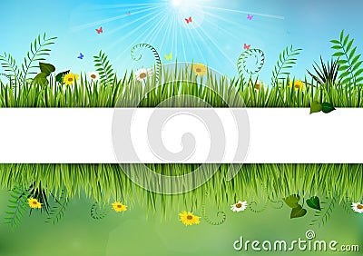 Fresh spring and daisy borders Vector Illustration