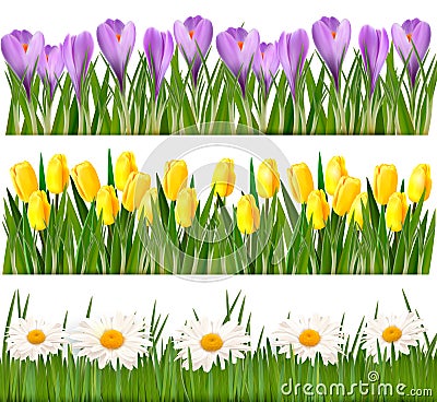 Fresh spring and flower borders Vector Illustration