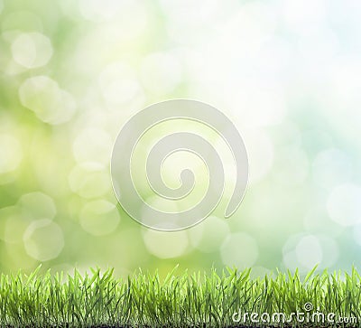 Fresh spring green grass Stock Photo