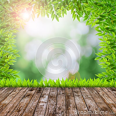Fresh spring green grass with green bokeh and flare and wood flo Stock Photo