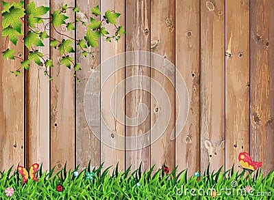 Fresh spring green grass with leaf plant over wood fence Vector Illustration