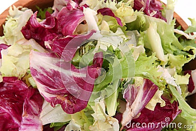 Fresh Spring Mix Lettuce Stock Photo