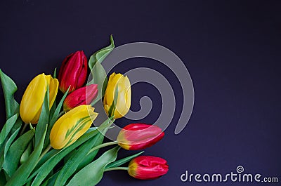 Fresh spring red and yellow tulip bouquet flowers closeup macro in the lower left corner on black background top view w Stock Photo