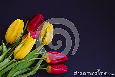 Fresh spring red and yellow tulip bouquet flowers closeup macro in the lower left corner on black background top view w Stock Photo